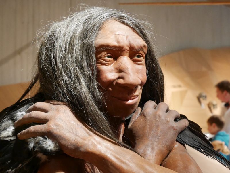 Neanderthal Museum Wachsfigur