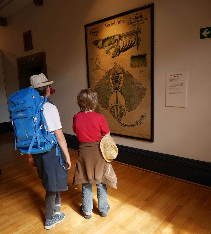 Tagesausflug nach Glasgow mit Kindern, Hunterian Museum