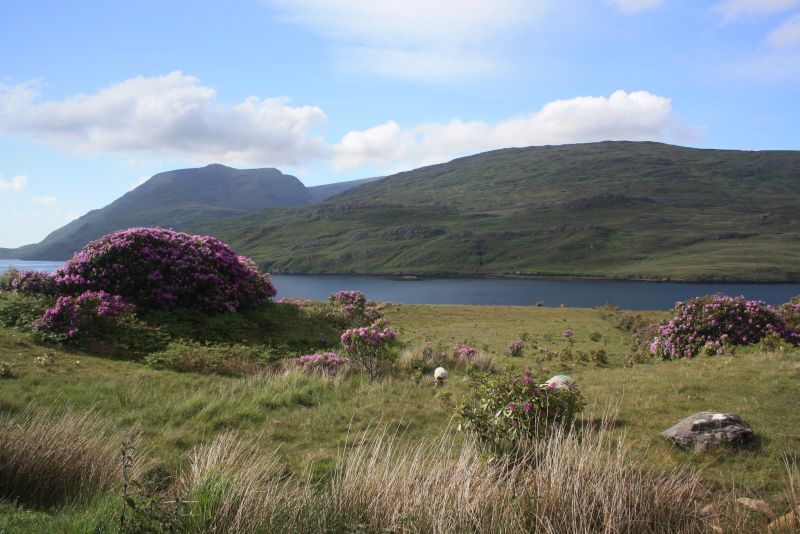 Roadtrip nach Irland mit Kindern, Connemara