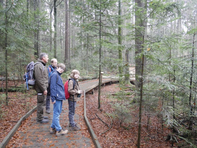 Wandern mit Kindern im Bayerischen Wald, urlaub in deutschland