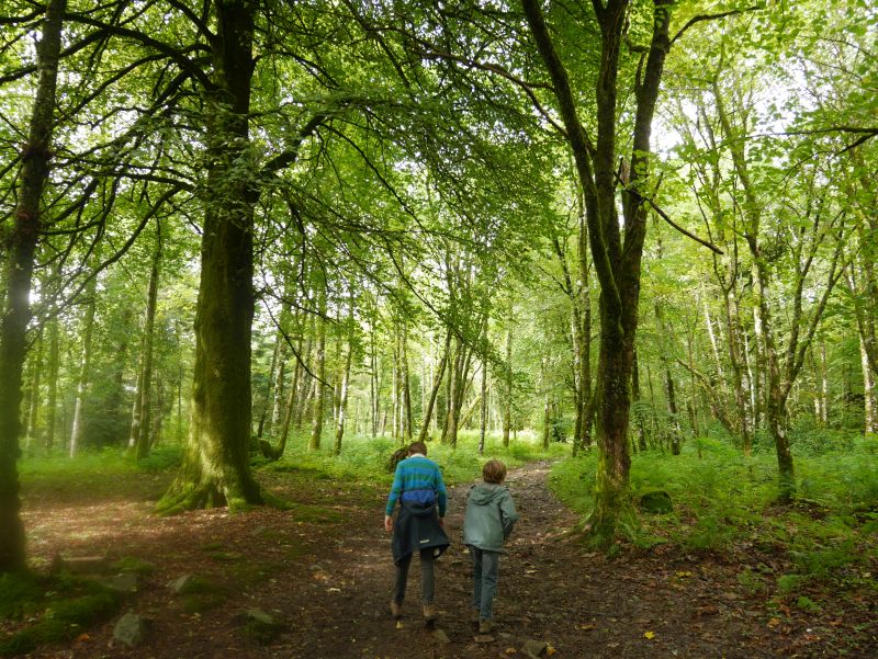 Inveraray mit Kindern, Wandern, Wald, Schottland