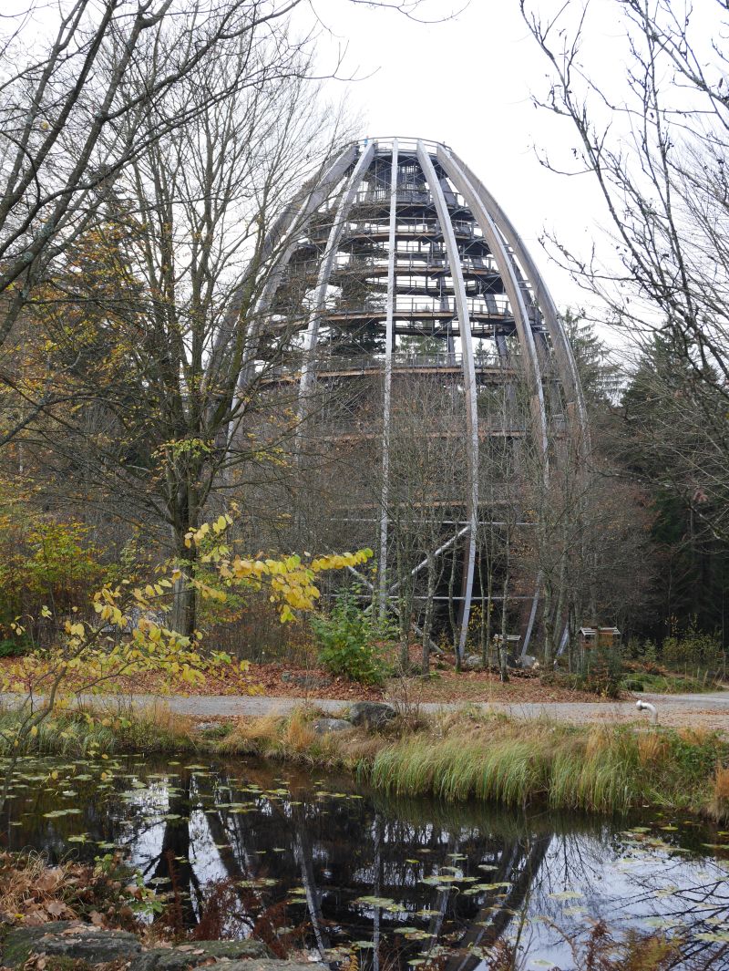 Familienurlaub im Bayerischen Wald, Baumwipfelpfad