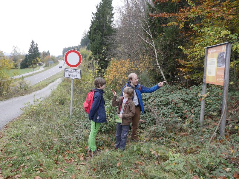 Familienurlaub im Bayerischen Wald, Wandern auf dem Amphibienpfad Langdorf