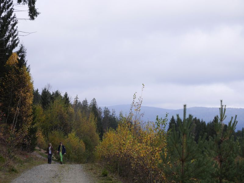 Familienurlaub im Bayerischen Wald, Wandern