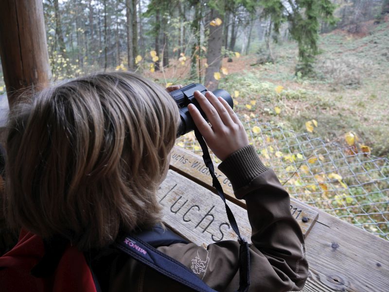 Familienurlaub im Bayerischen Wald, Tierfreigelände am Lusen