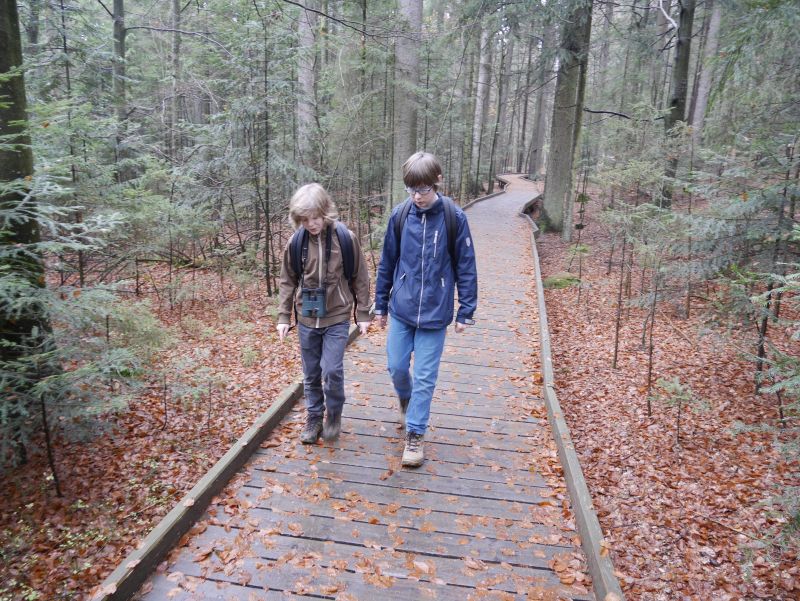 Wandern mit Kindern im Familienurlaub im Bayerischen Wald