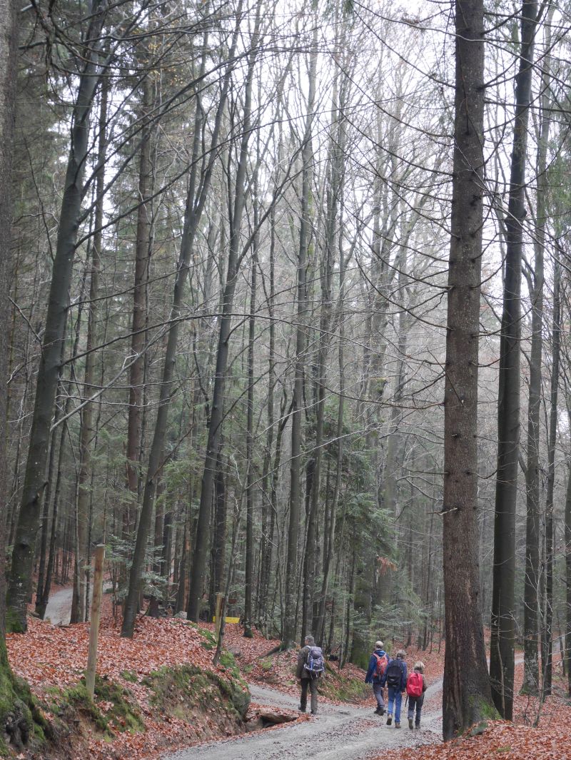 Familienurlaub im Bayerischen Wald, Wandern mit Kindern