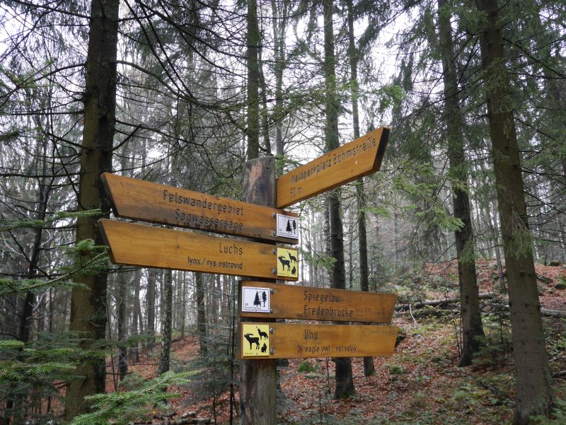 Familienurlaub im Bayerischen Wald, Wandern mit Kindern