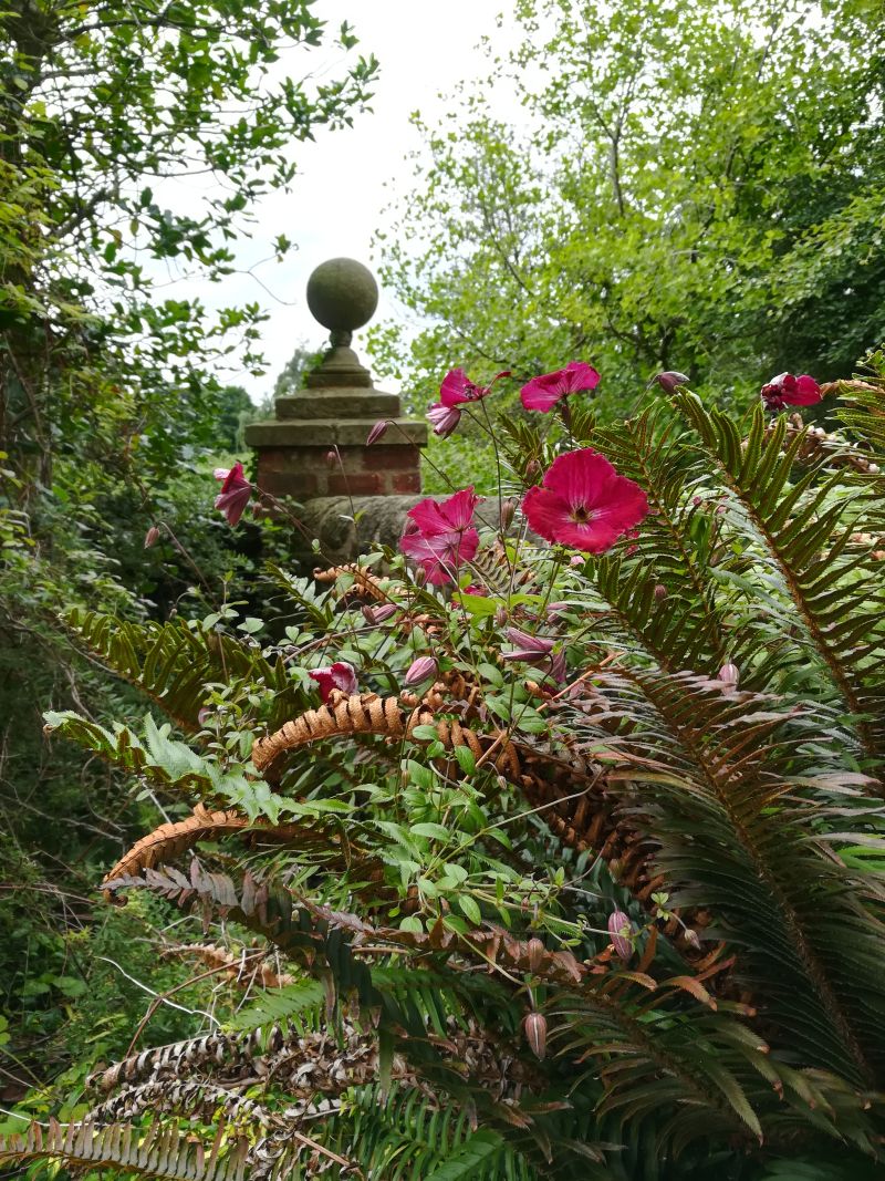 Inveresk Lodge Garden, Musselburgh