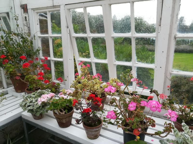 Inveresk Lodge Garden, Musselburgh, Gewächshaus