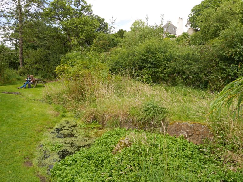 Inveresk Lodge Garden, Musselburgh, Woodland