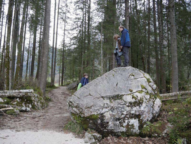 Zauberwald, Hintersee, Berchtesgaden