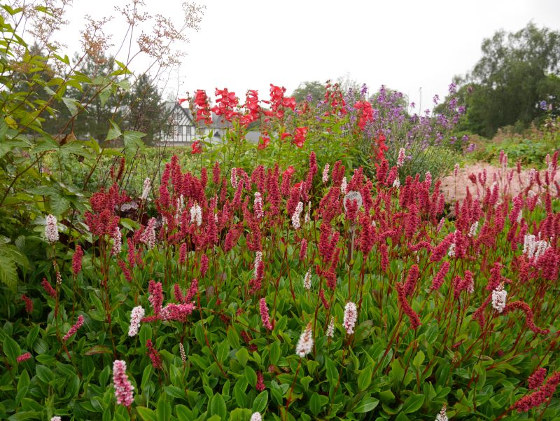 The Hill House Helensburgh, Garten