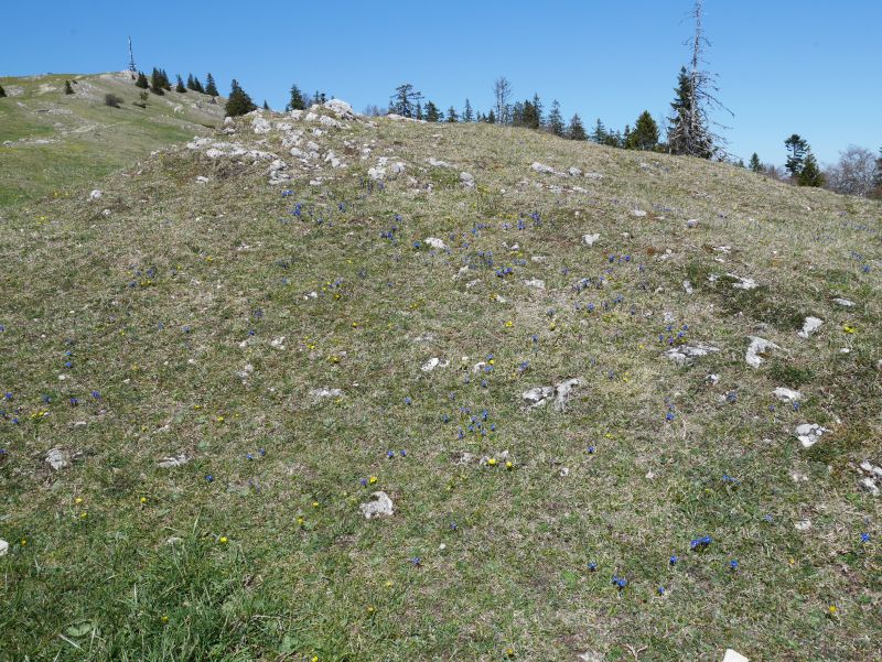 Waadtländer Jura, Dent de Vaulion