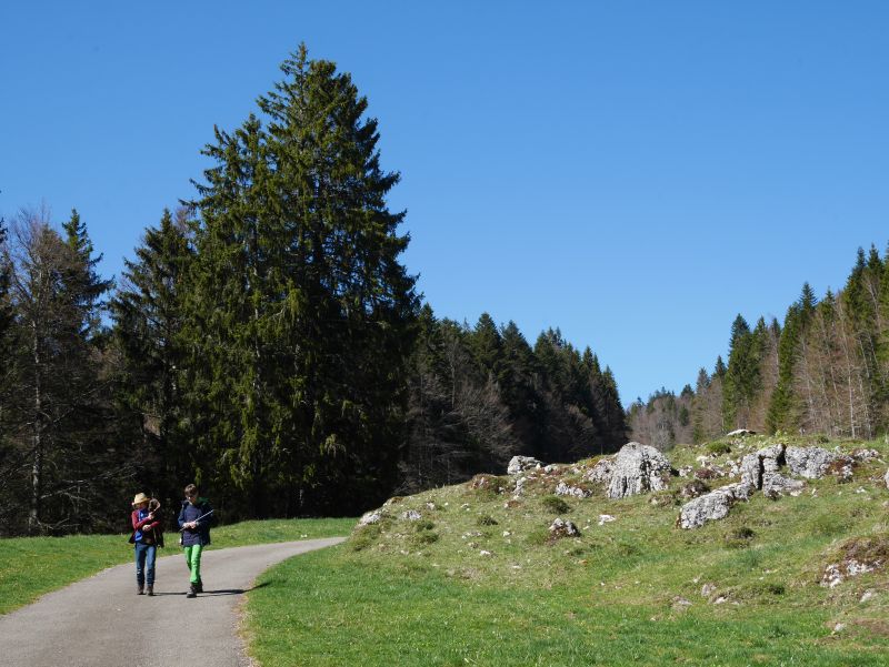 Waadtländer Jura, Dent de Vaulion mit Kindern