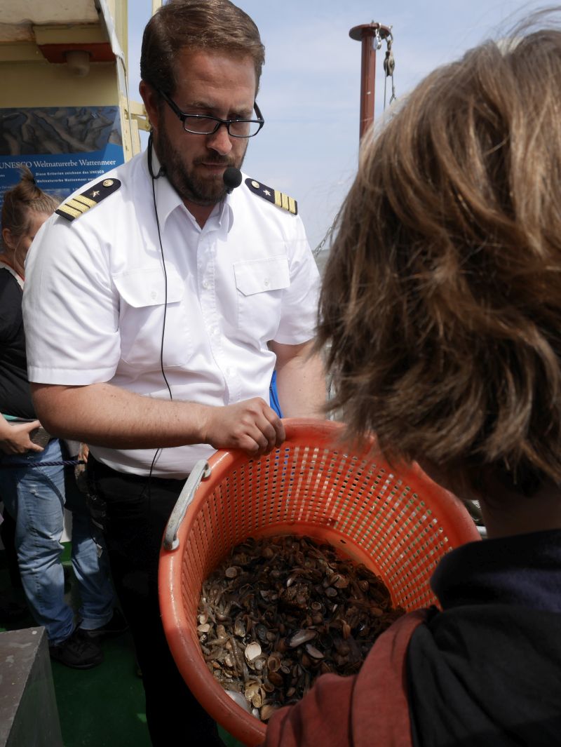borkum bootsfahrt krabbenfischen fang