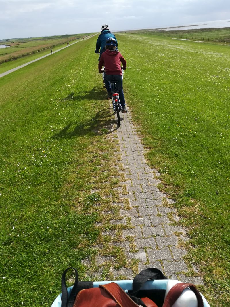 Borkum mit Kindern Deich Fahrrad