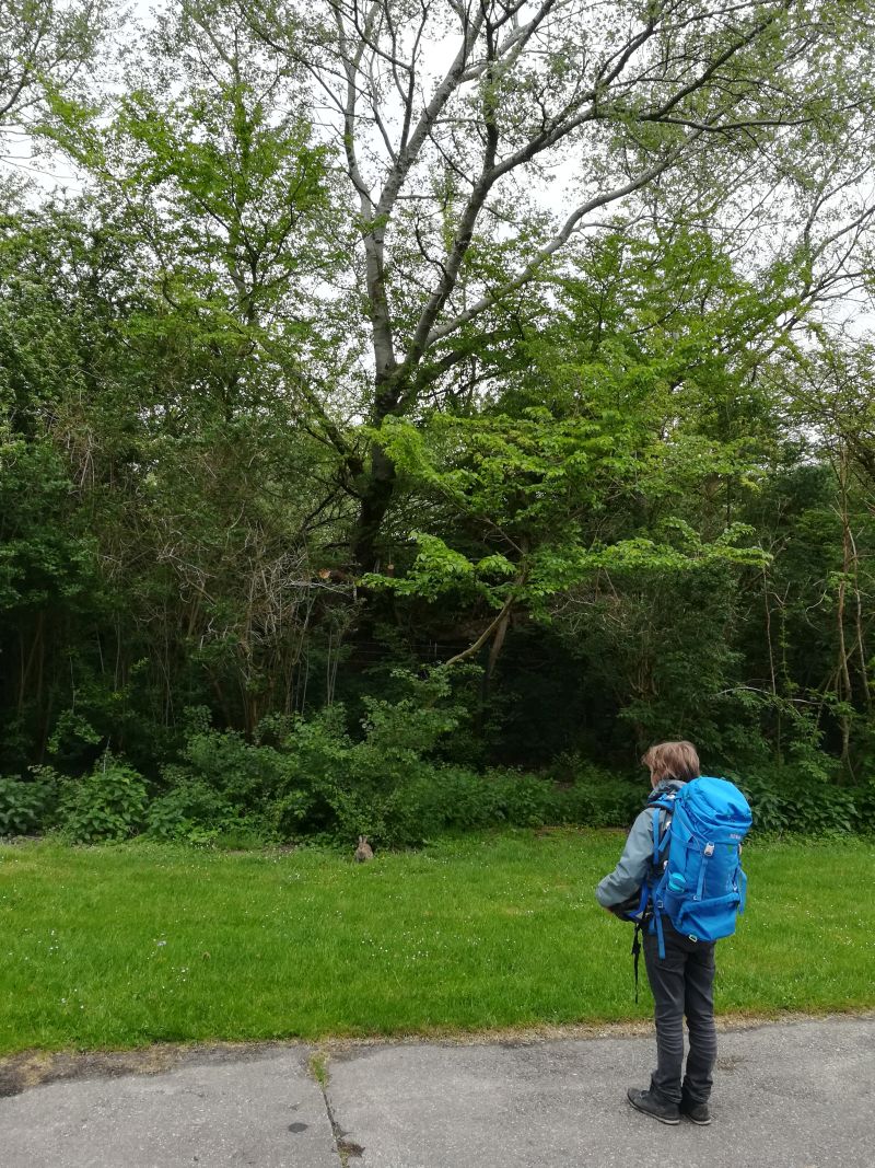 Jugendherberge Borkum mit Kindern