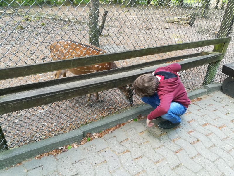 Bielefeld mit Kind, Tierpark Olderdissen