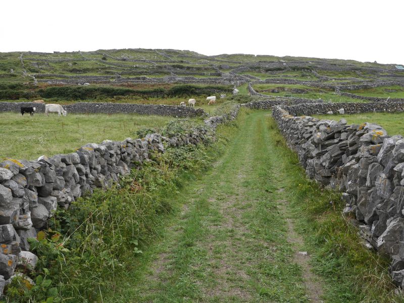 aran islands, inishmore, mauern