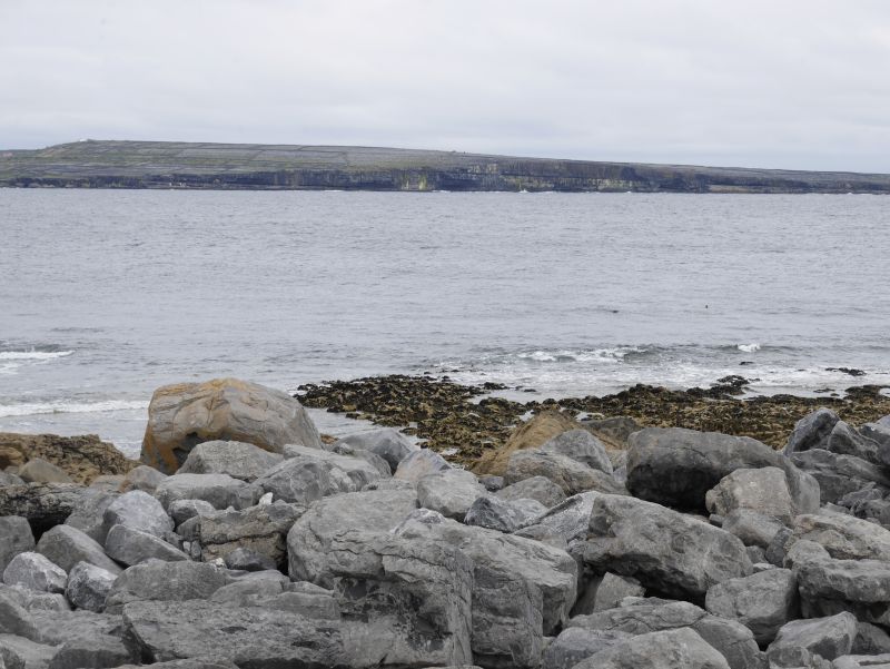 aran islands, inishmore, robben, inishmaan