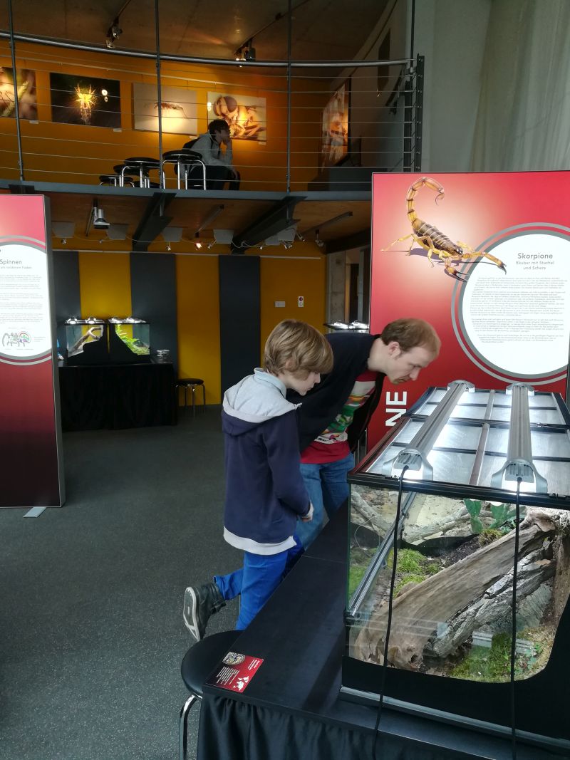 Insekten Sonderausstellung Eulenburg Rinteln