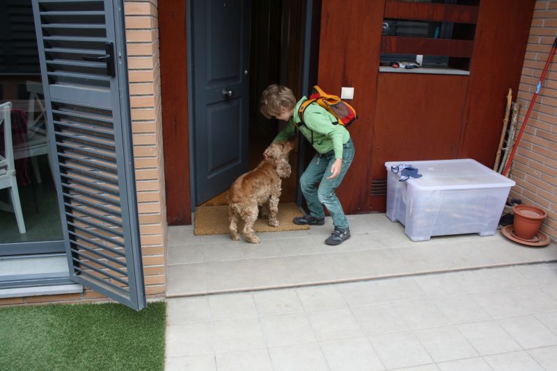 Barcelona AirBnB