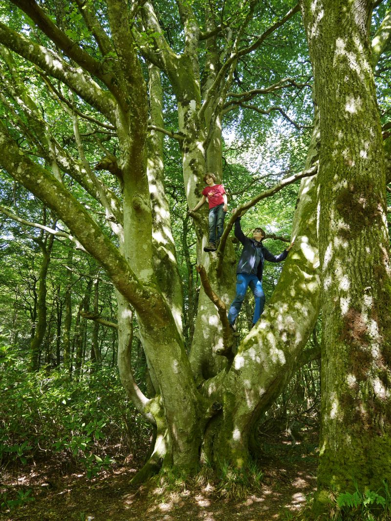islay bridgend kletterbaum wandern mit kindern schottland