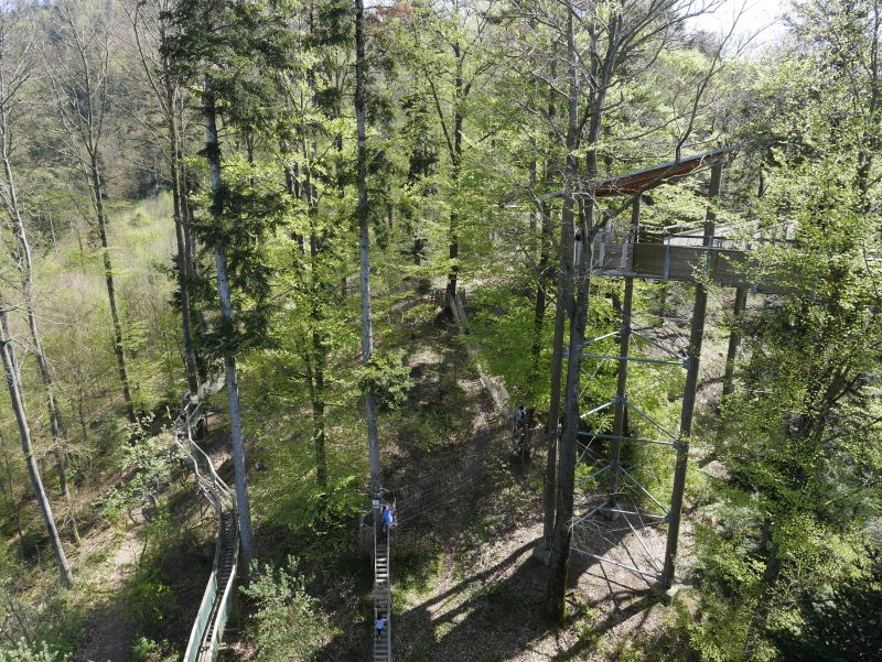 baumkronenpfad waldkirch von oben