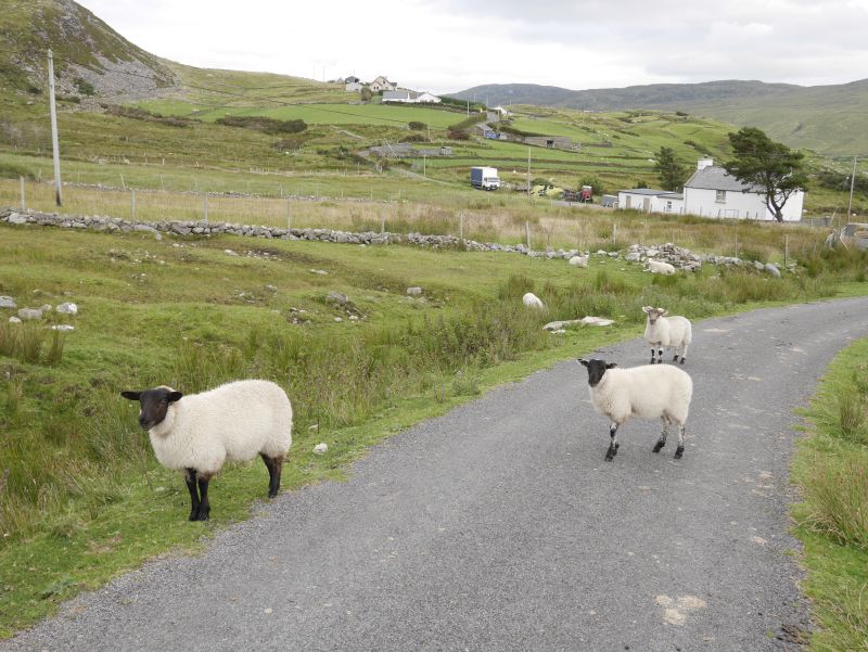 donegal landstraße, Irland
