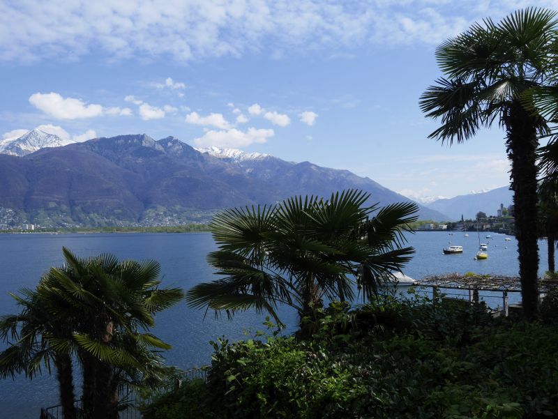 tessin lago maggiore vira palmen