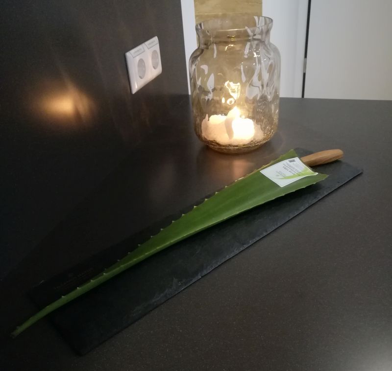 Aloe Vera Wellness