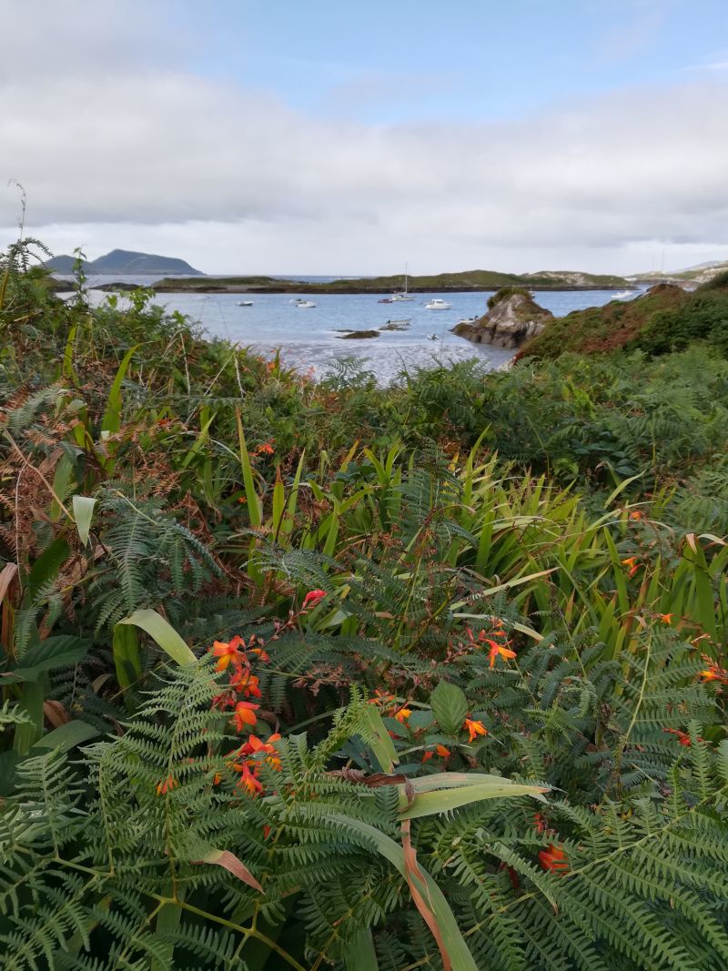 ring of kerry, irland