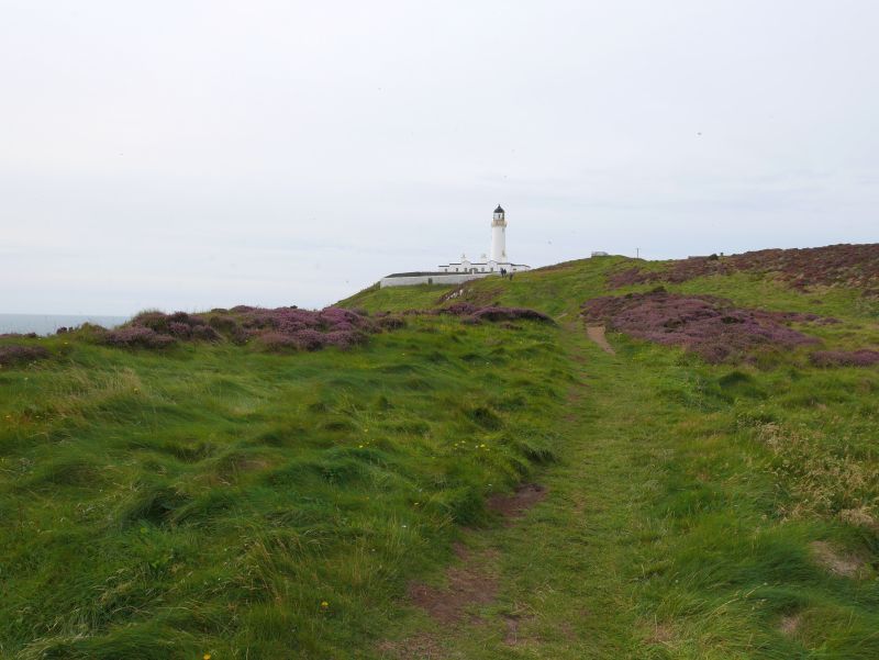 mull of galloway landschaft