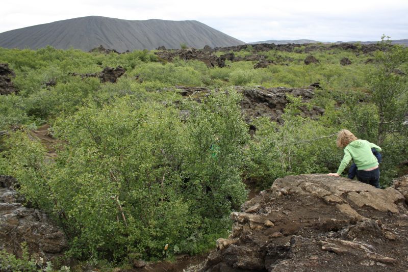 Wanderung von Dimmuborgir nach Hverfjall