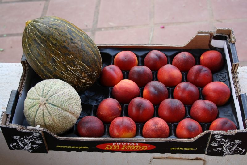 motril kistenweise obst