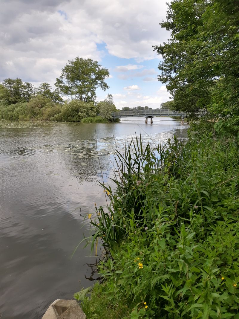 reinfeld herrenteich brücke