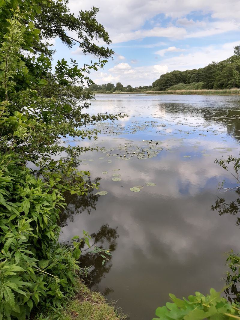 reinfeld herrenteich seeblick