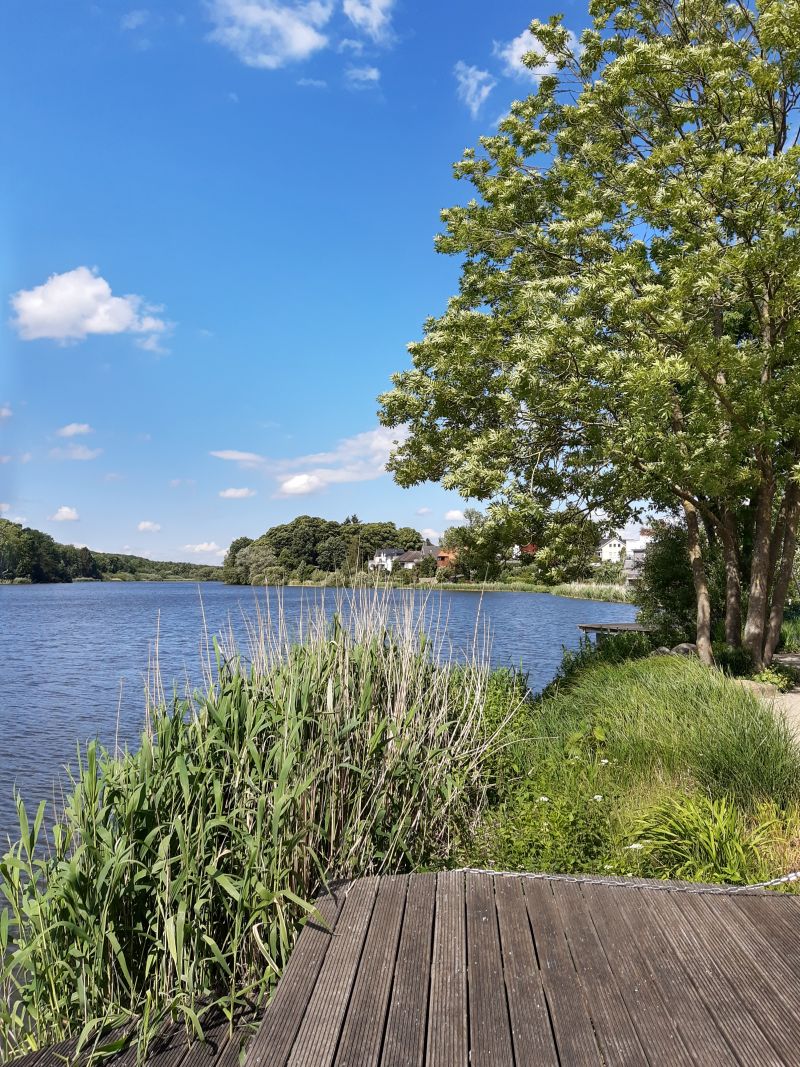 reinfeld herrenteich seeterrasse