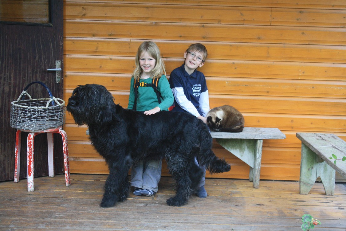 The boys loved Kadri's cats and Elli, the huge black dog. 