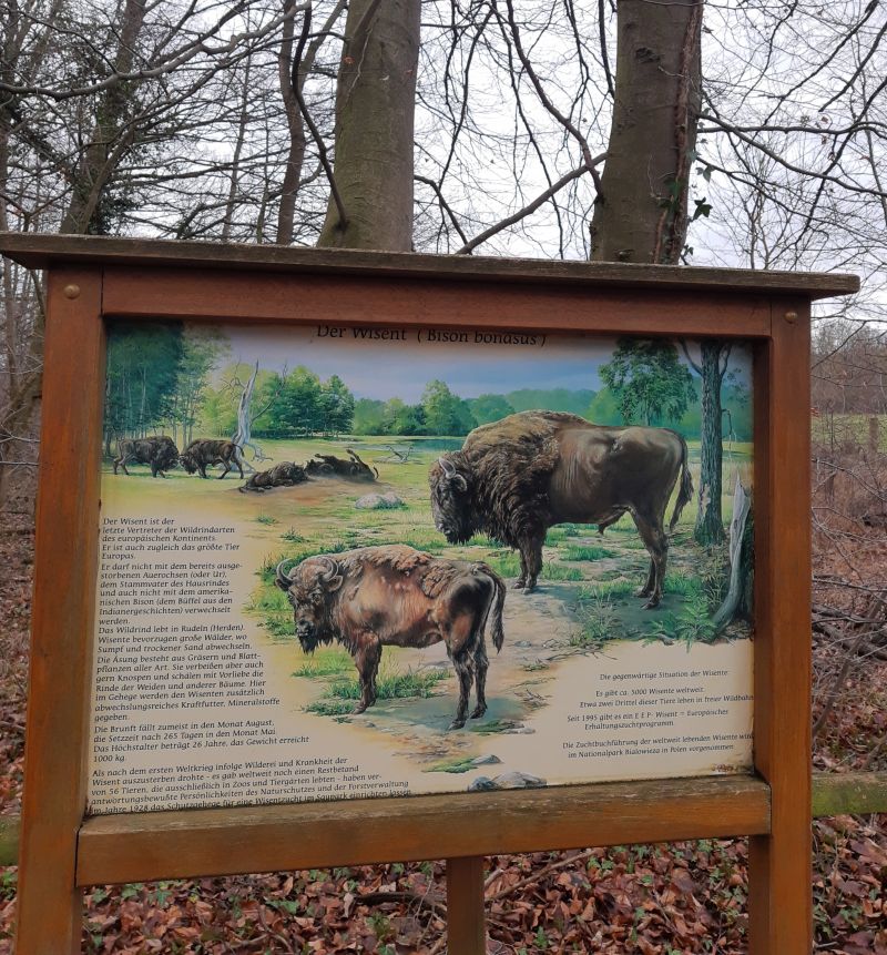 wisentgehege springe schild