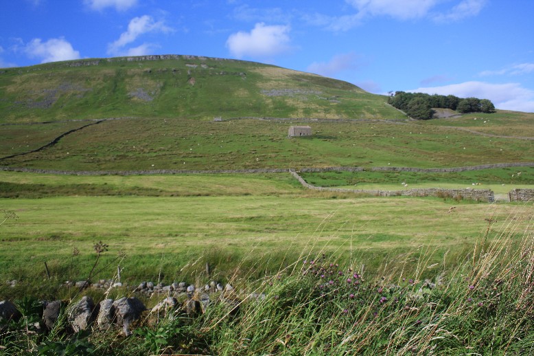 A typical view in the Yorkshire Dales. 