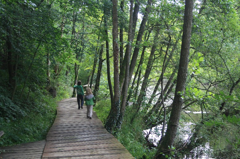 The Scottish Wildlife Trust built a boardwalk close to the river. 