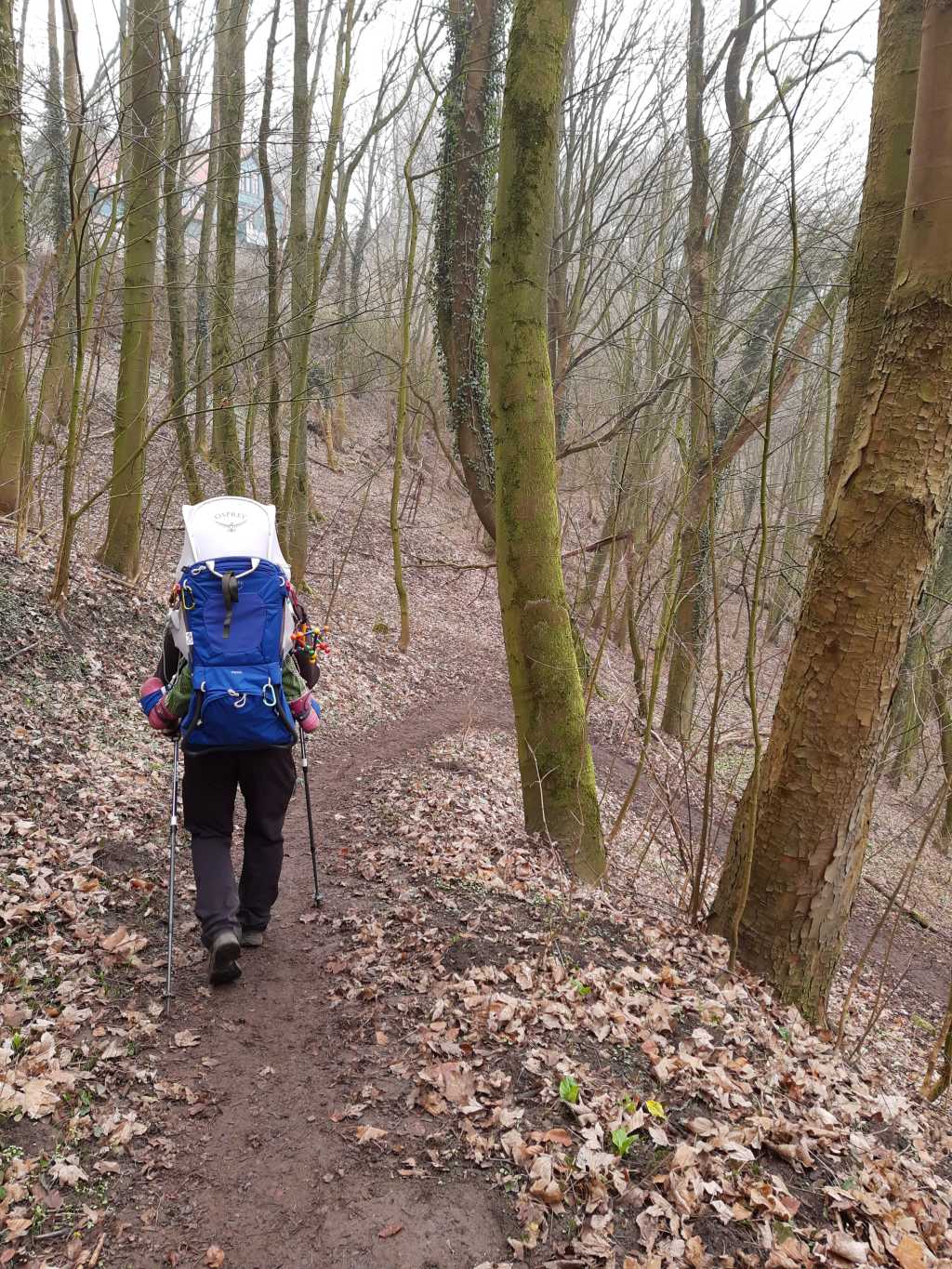 schaumburg wandern wichtelsteig kraxe