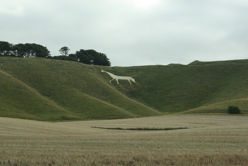 Das Weiße Pferd von Cherhill entstand im Jahr 1780 und ist damit vermutlich das drittälteste seiner Art. (The White Horse of Cherhill dates back to 1780 which probably makes it the 3rd oldest of its kind.)