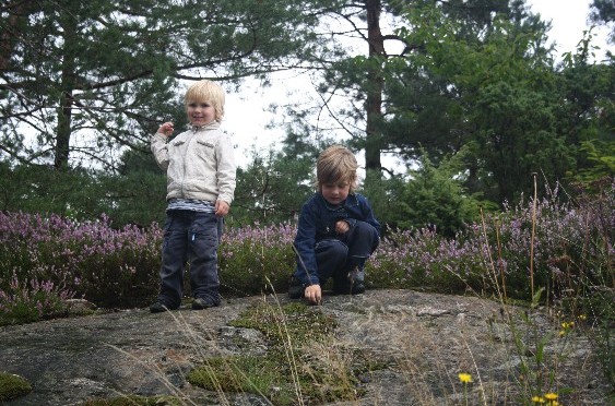 norwegen mit kindern
