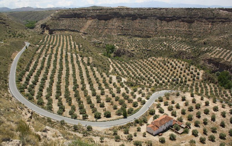 Gorafe, Andalusien, Spanien