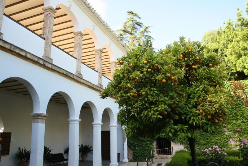Andalusien mit Kindern, Spanien individuell bereisen