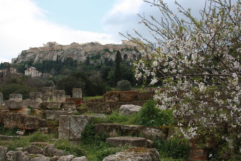 Athen: Blick auf die Akropolis von der antiken Agora aus. 