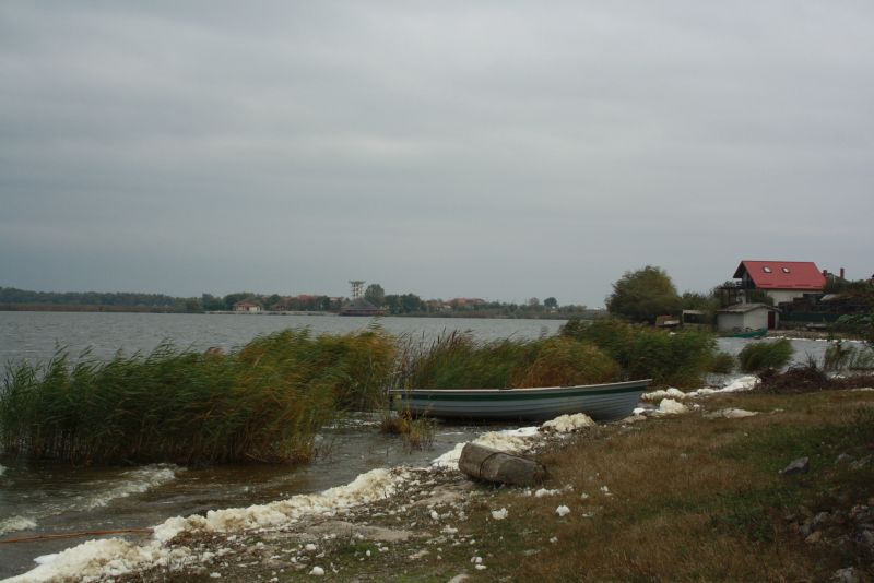 Im Donaudelta ist das Wasser nie weit. Das "Flussufer" von Murighiol. 